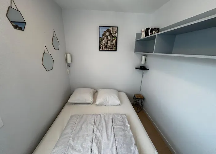 Apartamento Lumineux A 100m Des Thermes Avec Balcon Et Wi-fi - Fr-1-541-143 La Roche-Posay